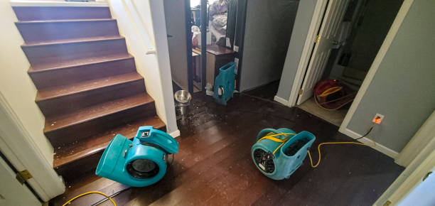 Best Flood damage cleanup  in Blissfield, MI