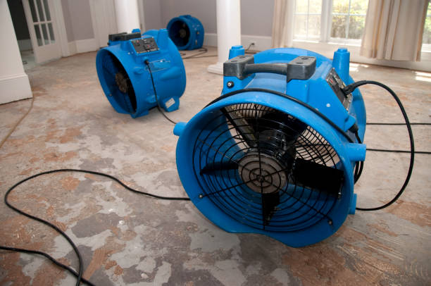 Best Water damage restoration services  in Blissfield, MI