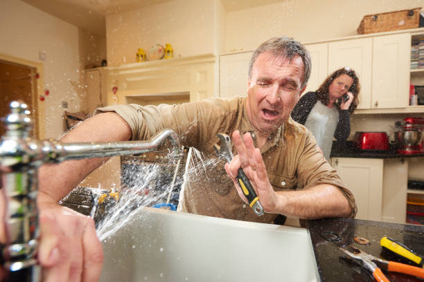 Best Basement water damage restoration  in Blissfield, MI